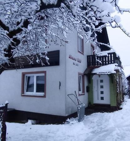 Haus Elli Daire Greifenburg Dış mekan fotoğraf
