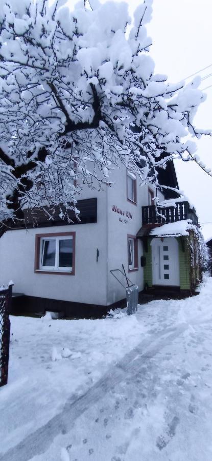 Haus Elli Daire Greifenburg Dış mekan fotoğraf