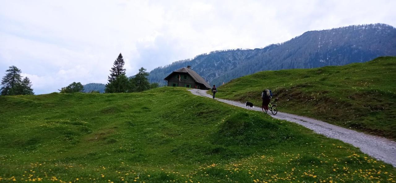Haus Elli Daire Greifenburg Dış mekan fotoğraf