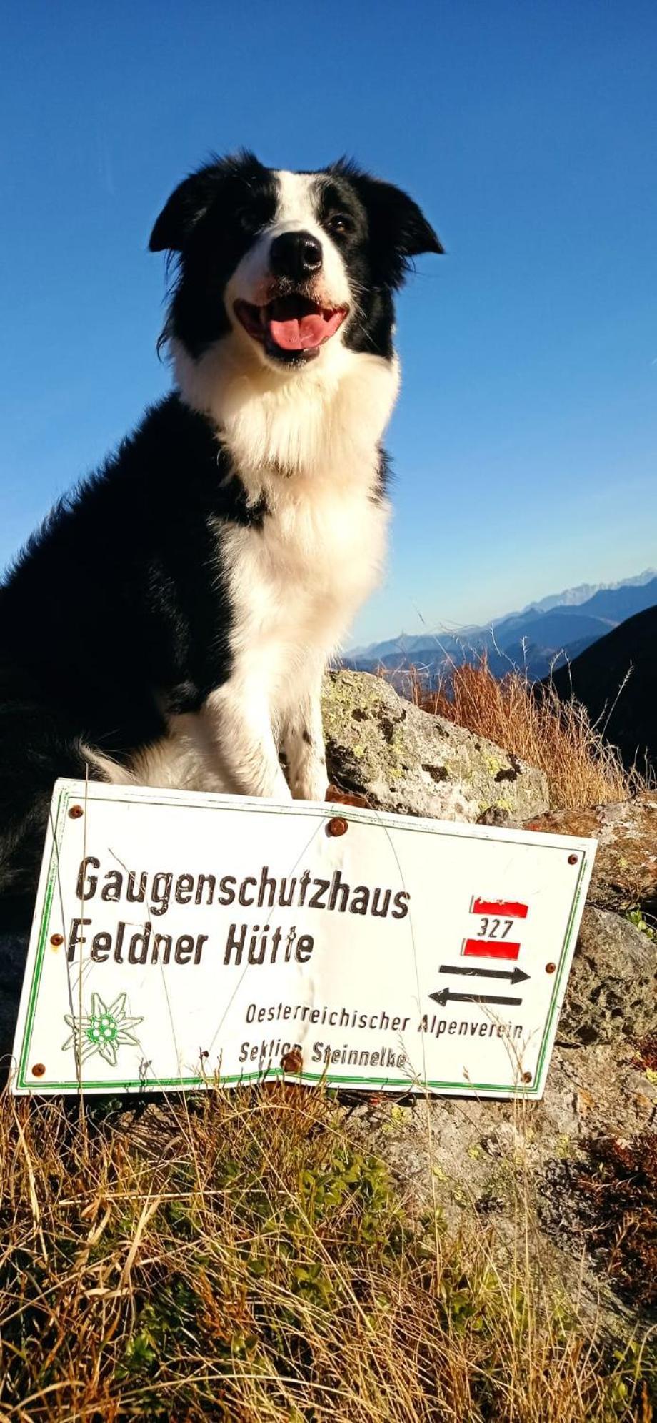 Haus Elli Daire Greifenburg Dış mekan fotoğraf