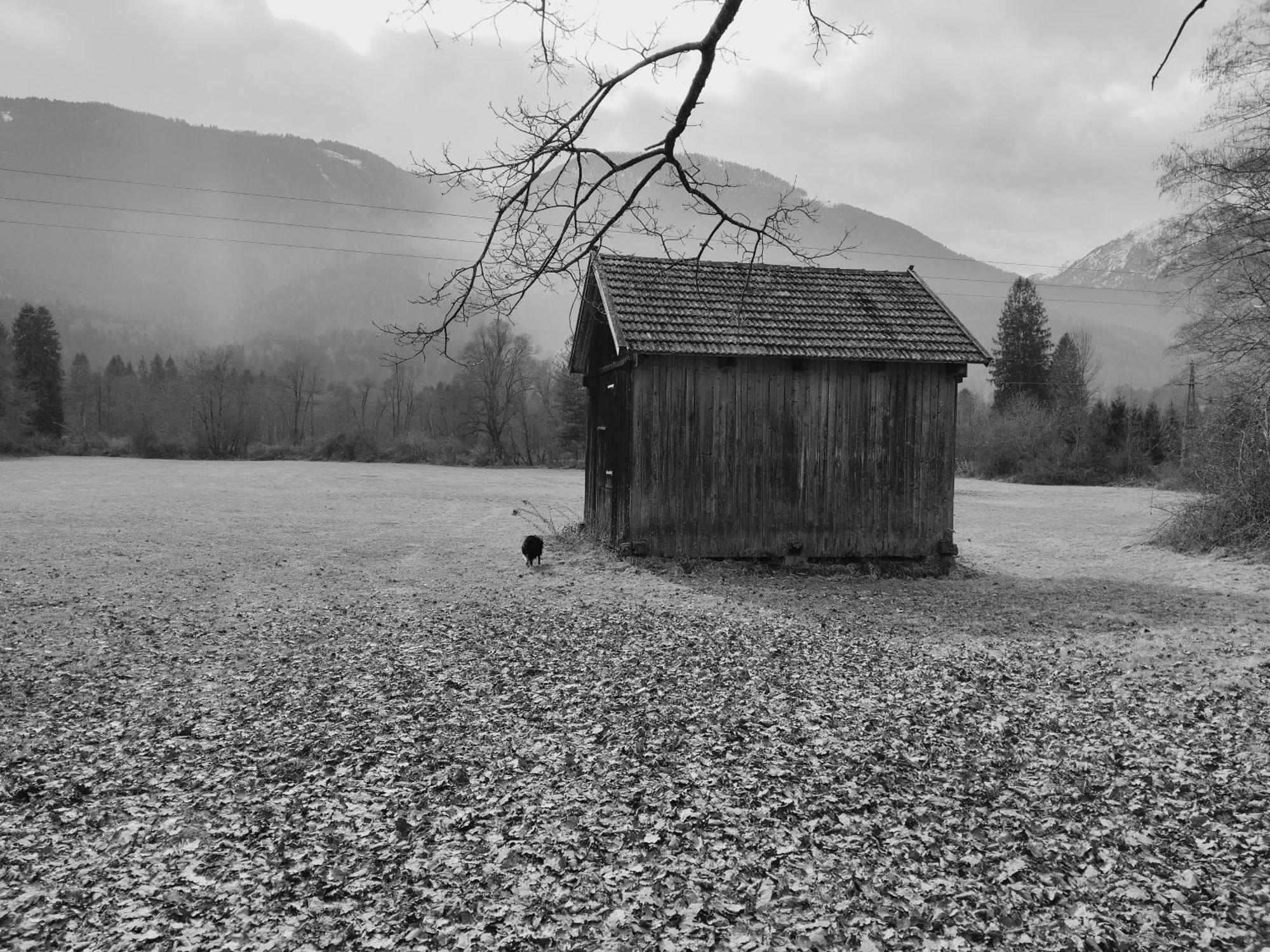 Haus Elli Daire Greifenburg Dış mekan fotoğraf